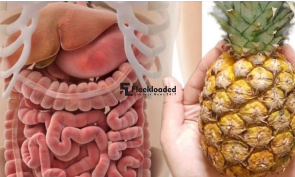 Intestines, Liver, And Kidneys Are Clean! All The Dirt Flies Out With Pineapple