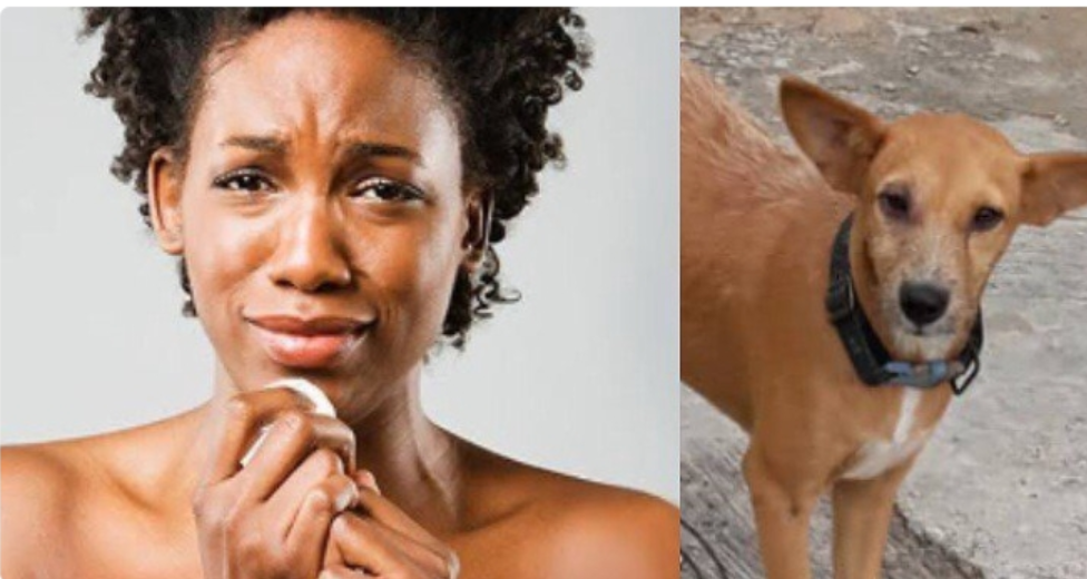 Lady Cries Out As She Reveals What She Caught Her Female Friend Doing With A Dog.