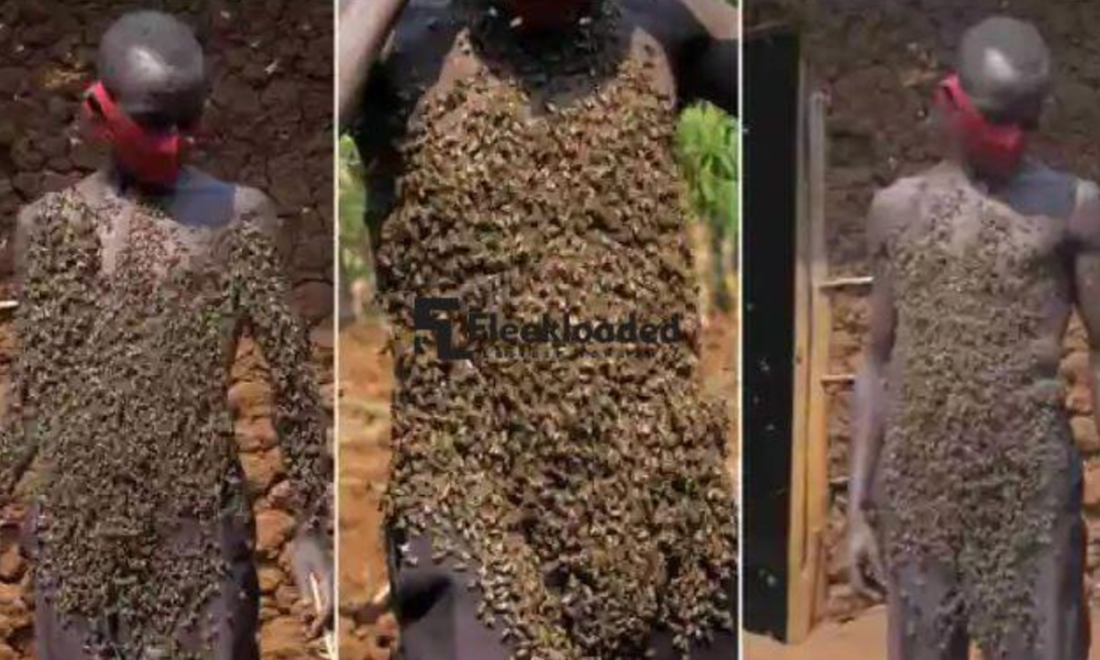 Meet Man Who Walks With Thousands Of Bees On His Body For Over 30 Years