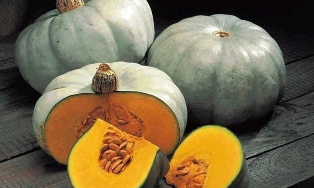 Pumpkin Is So Beneficial, See Some Diseases It Can Cure And Other Uses