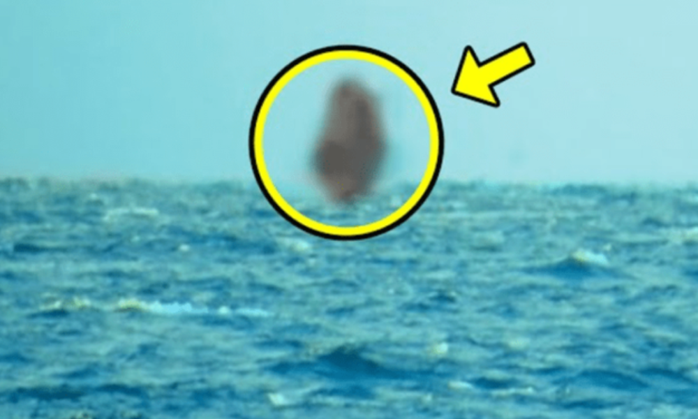 Sailors Spot Something ODD In Front Of Their Ship. Looking Closer, They Scream In Horror!