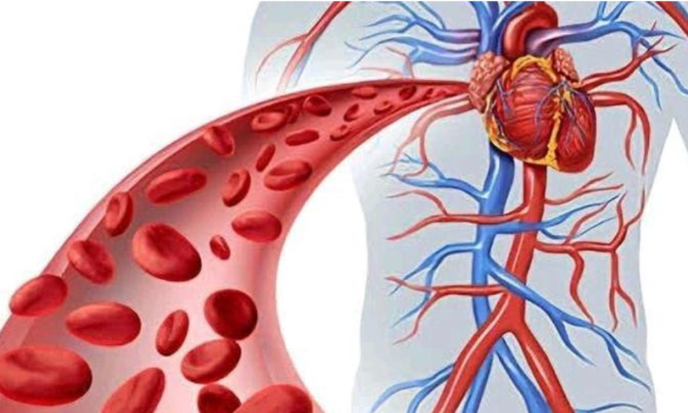 Signs Of Poor Blood Circulation In The Body That Should Be Taken Seriously