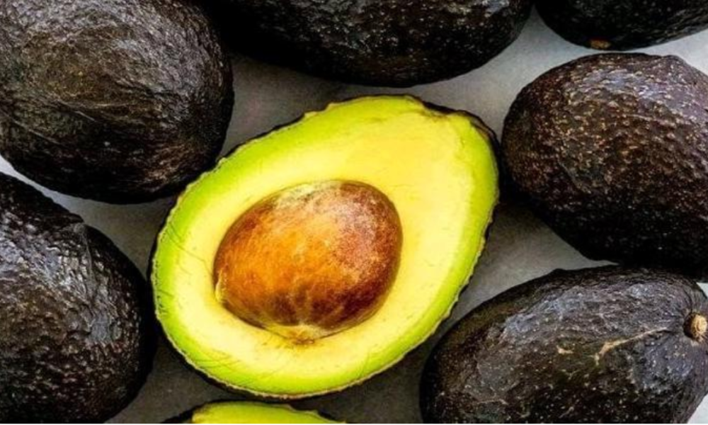 Take A Cup Of Avocado Seed Tea Daily To Treat These Dangerous Disease