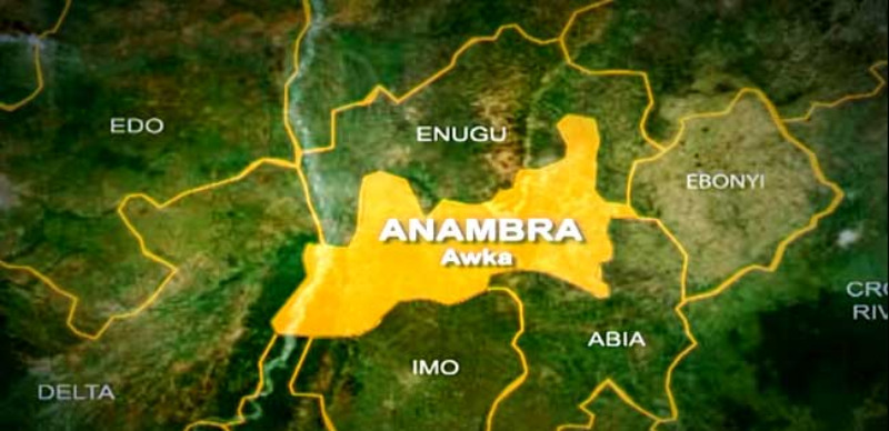 Anambra farmers harvest crops ahead of impending flood