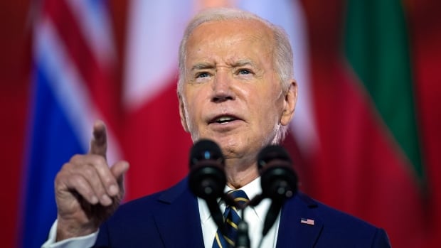 Former Democratic U.S. presidential candidate fears ‘a landslide’ if Biden stays in race