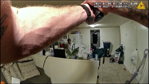 'Shocking' bodycam video of Illinois police shooting Black woman in her home sparks outrage