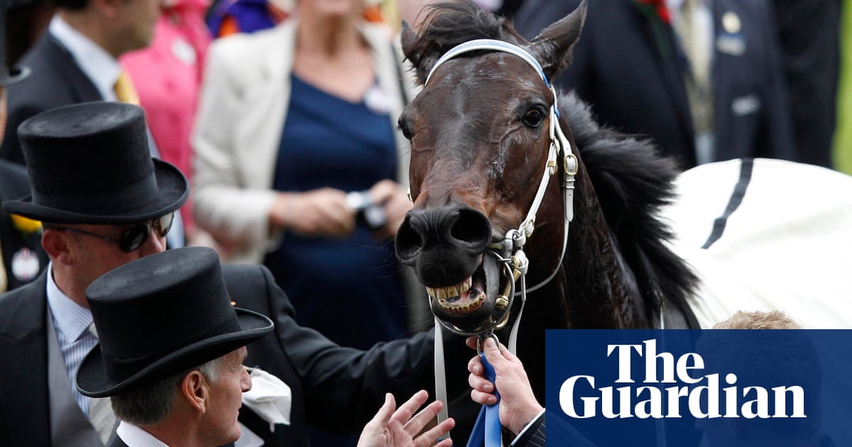 ‘Simply the best’: champion Australian racehorse Black Caviar dies age 17 | Horse racing