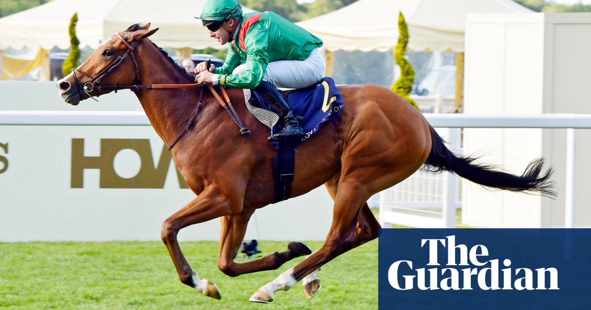 French renaissance has Calandagan on course to lay siege to City Of Troy | Horse racing