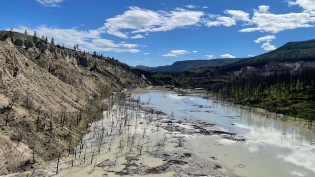 Chilcotin landslide presents new barriers for struggling salmon