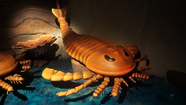 Giant scorpions once ruled seas — and may have traversed entire oceans 