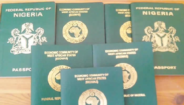 Passport fee hike won’t stop japa – Ex-envoys