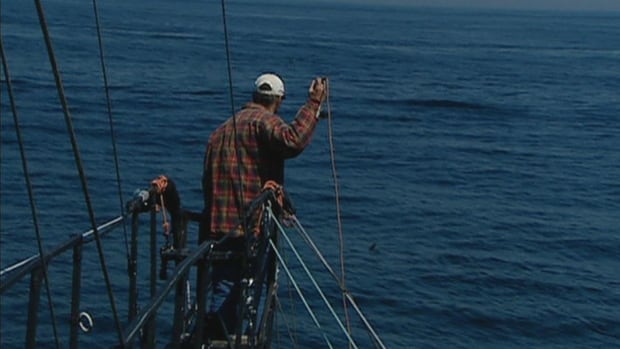 N.S. swordfish harpoon fleet testing new gear, sets sights on tourism