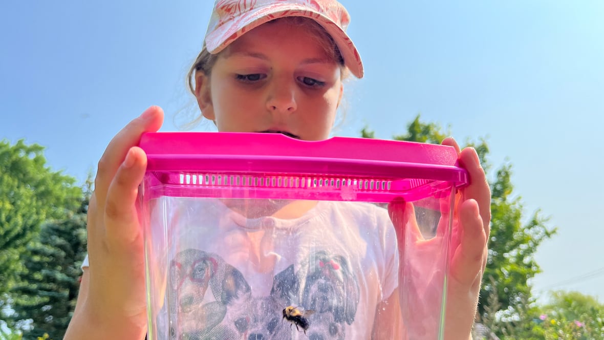 These kids are catching bees for science