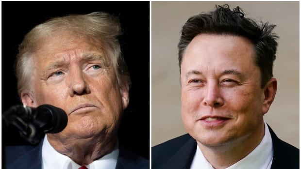 Musk blames cyberattack as his chat with Trump on X hit by technical issues