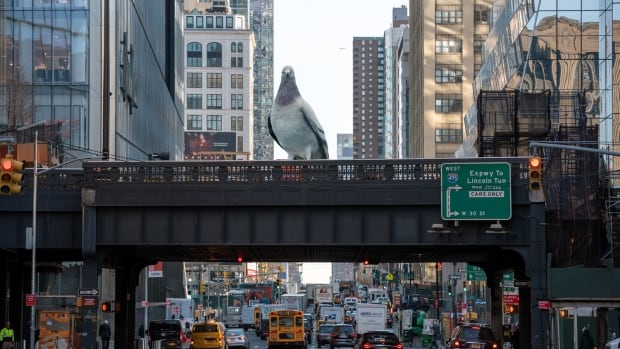 Meet the artist behind the massive pigeon sculpture going up in NYC