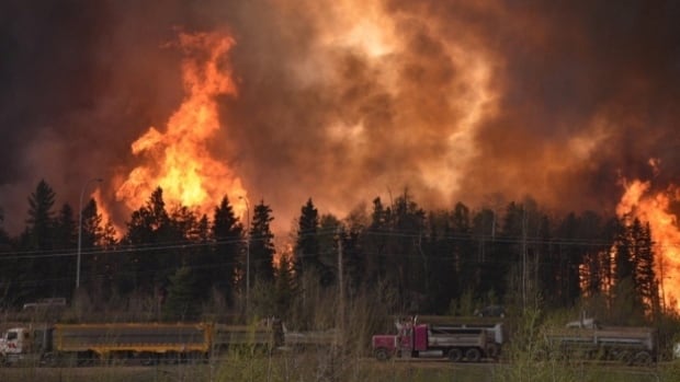 Wildfires can take a heavy toll on mental health. Here’s what researchers say should be done to help evacuees