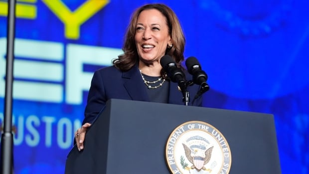 Kamala Harris secures delegate votes needed to clinch Democrats’ presidential nomination