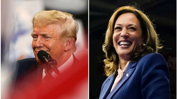 Trashing Trump’s tariffs is now front and centre in Harris’s campaign