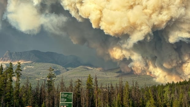 Did a tornado touch down during the Jasper wildfire? Researchers want to know