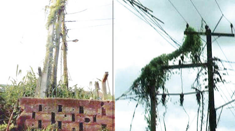 Police arrest two for transformer, cable thefts in Edo