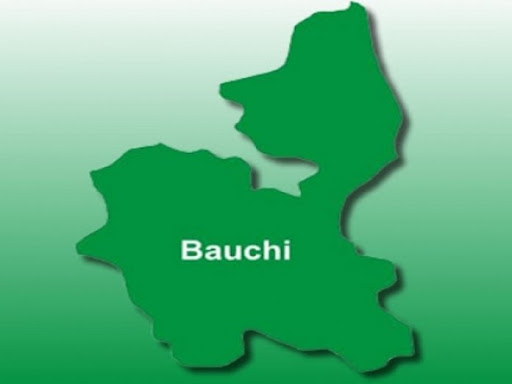 bauchi state map