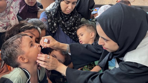 Children in Gaza receive polio vaccines as WHO launches emergency campaign