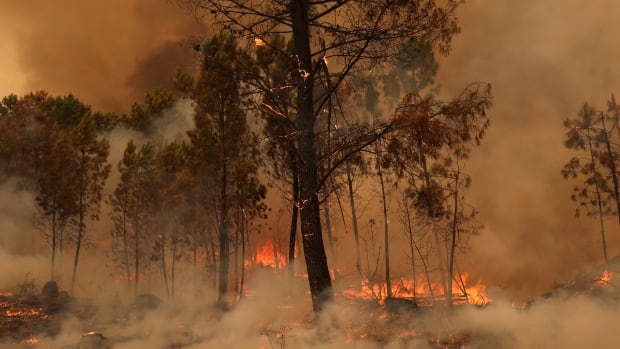 Portugal declares state of calamity as wildfires rage on