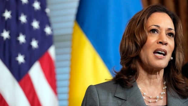 Kamala Harris slams 'dangerous and unacceptable' calls for Ukraine to cede land to Russia