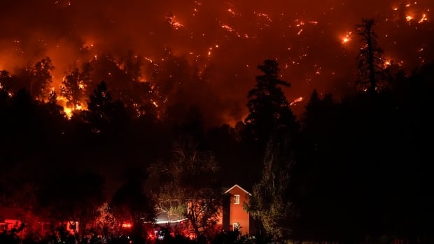 Skies rain ash and embers as 'hellish' wildfires tear through Southern California