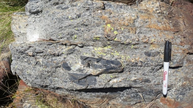 Meteorite that hit Earth 3 billion years ago dwarfed rock that caused dinosaur extinction: study