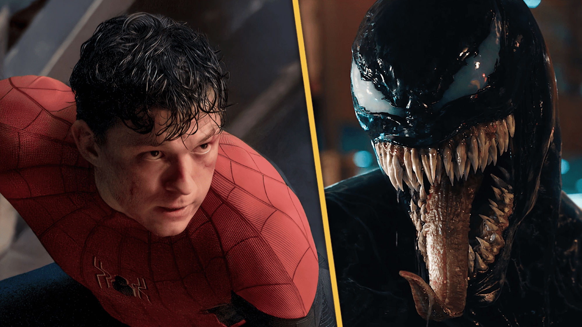 Venom: The Last Dance - Is Spider-Man In The Movie?