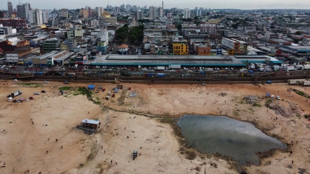 Drought shrinks river that feeds the Amazon to lowest level ever recorded