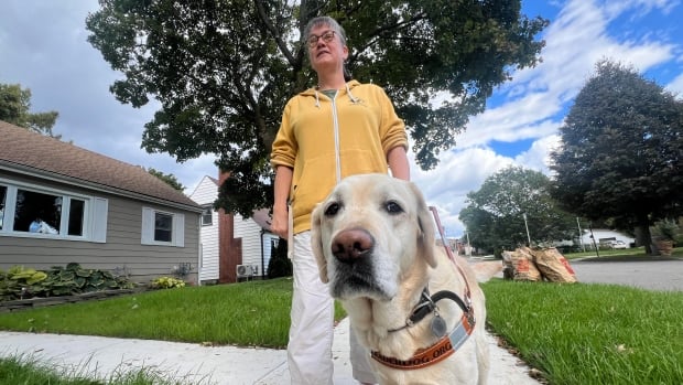 Guide dog owner says Louie may be her last unless behaviour of ‘service dogs’ changes