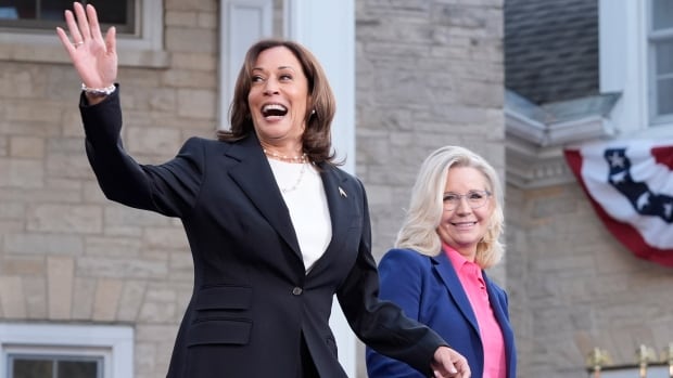 Kamala Harris bet big on courting Republicans. Is her bet paying off?