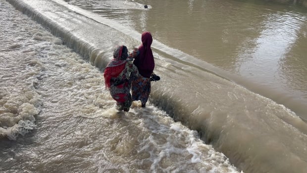 Cholera cases explode after extreme rains fueled by climate change in Africa