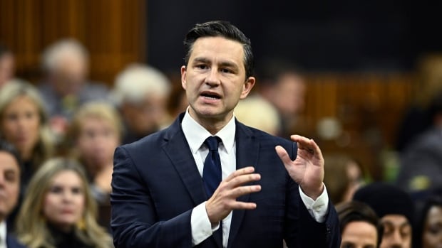 Poilievre says he supports involuntary addiction treatment for minors, prisoners