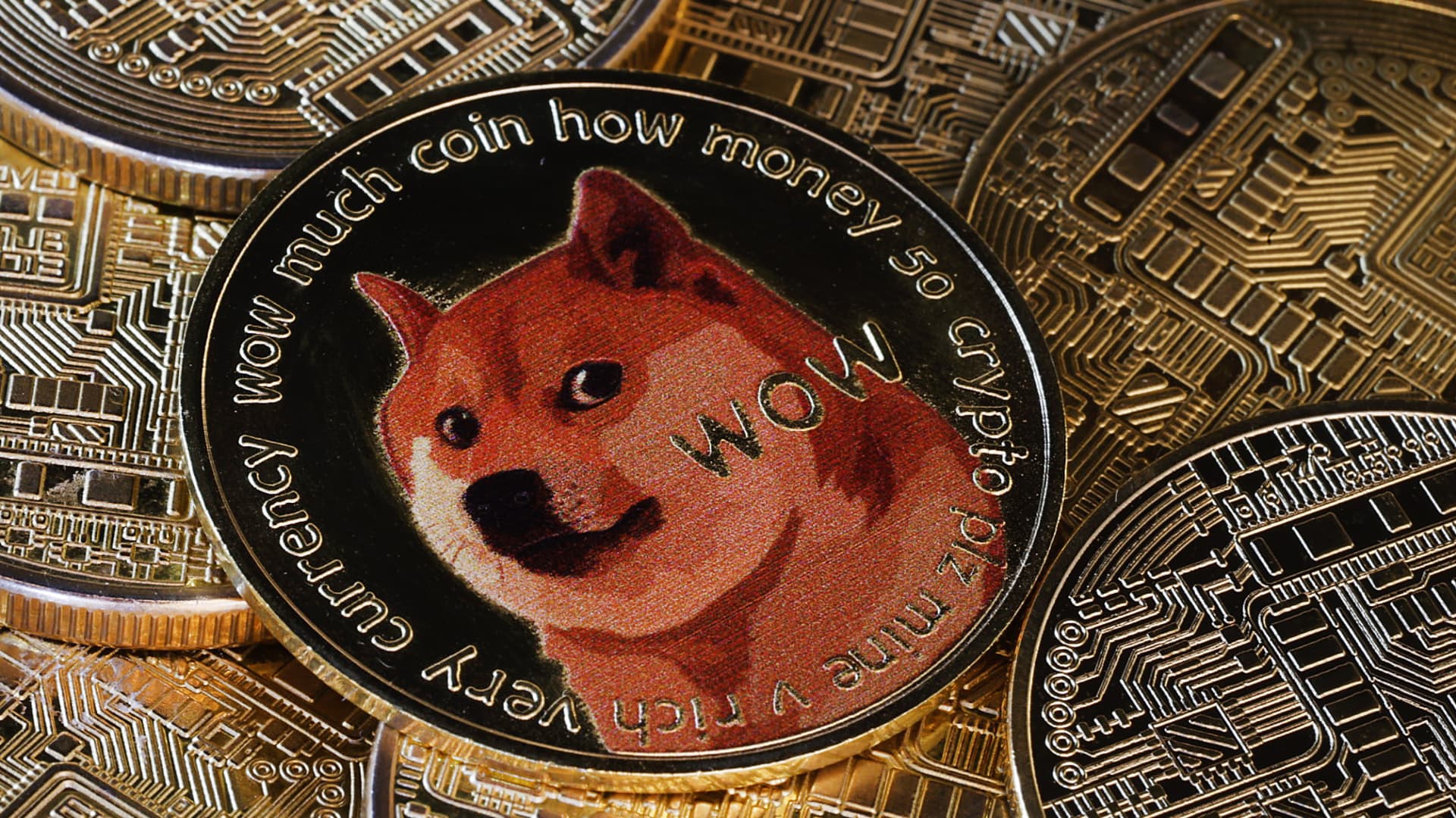 Dogecoin surges 20% after Trump announces a Department of Government Efficiency — DOGE