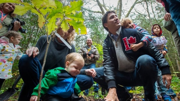 Out on a limb: Ottawa is falling behind on its promise to plant 2 billion trees