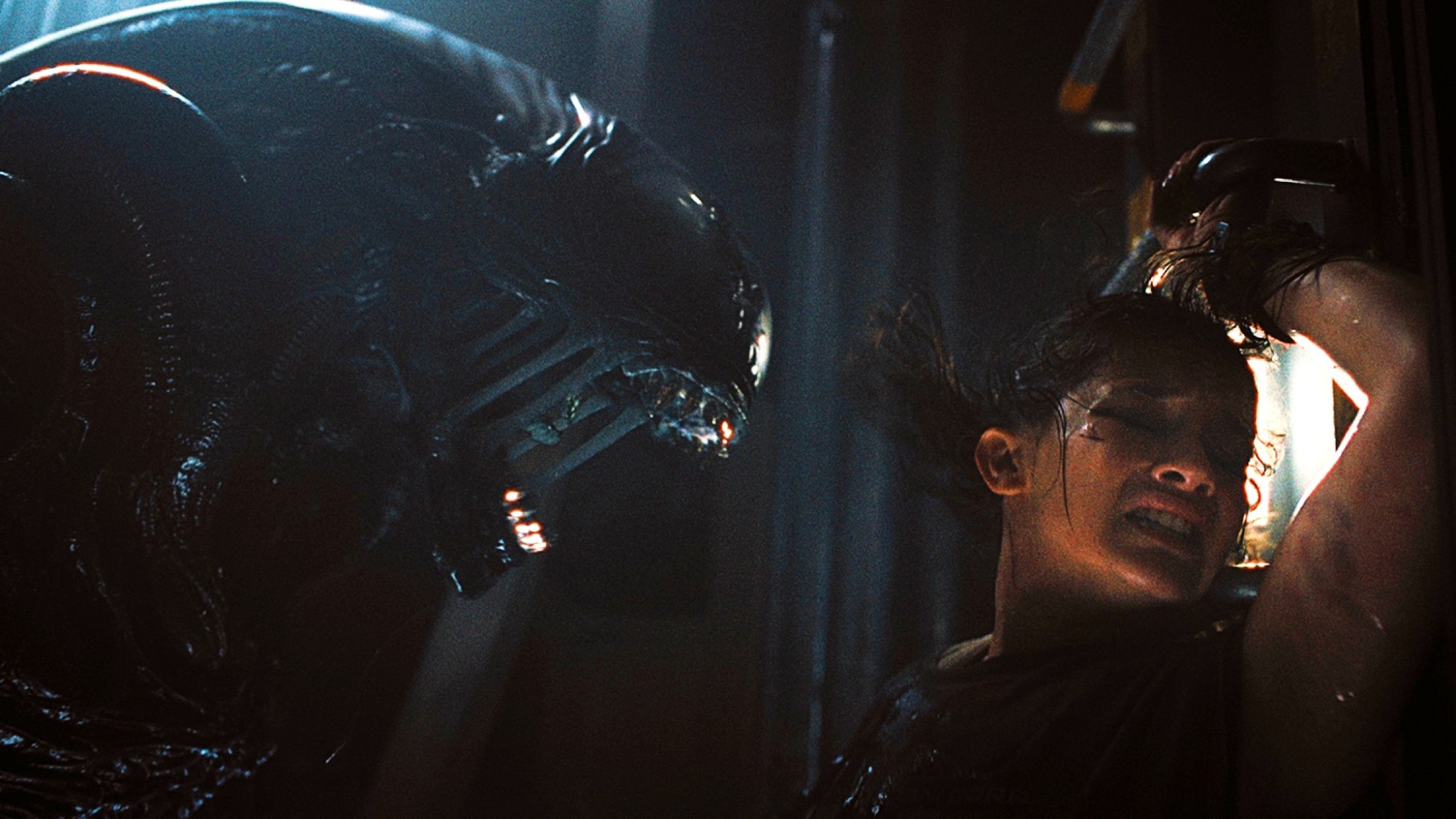 Xenomorph and Cailee Spaeny as Rain in Alien Romulus