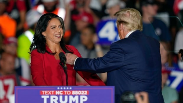 Who is Tulsi Gabbard, and why might Western intelligence agencies be uneasy with Trump's pick?