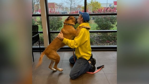 After 2-year cancer battle, Fort Erie, Ont., man reunites with dog he never thought he’d see again