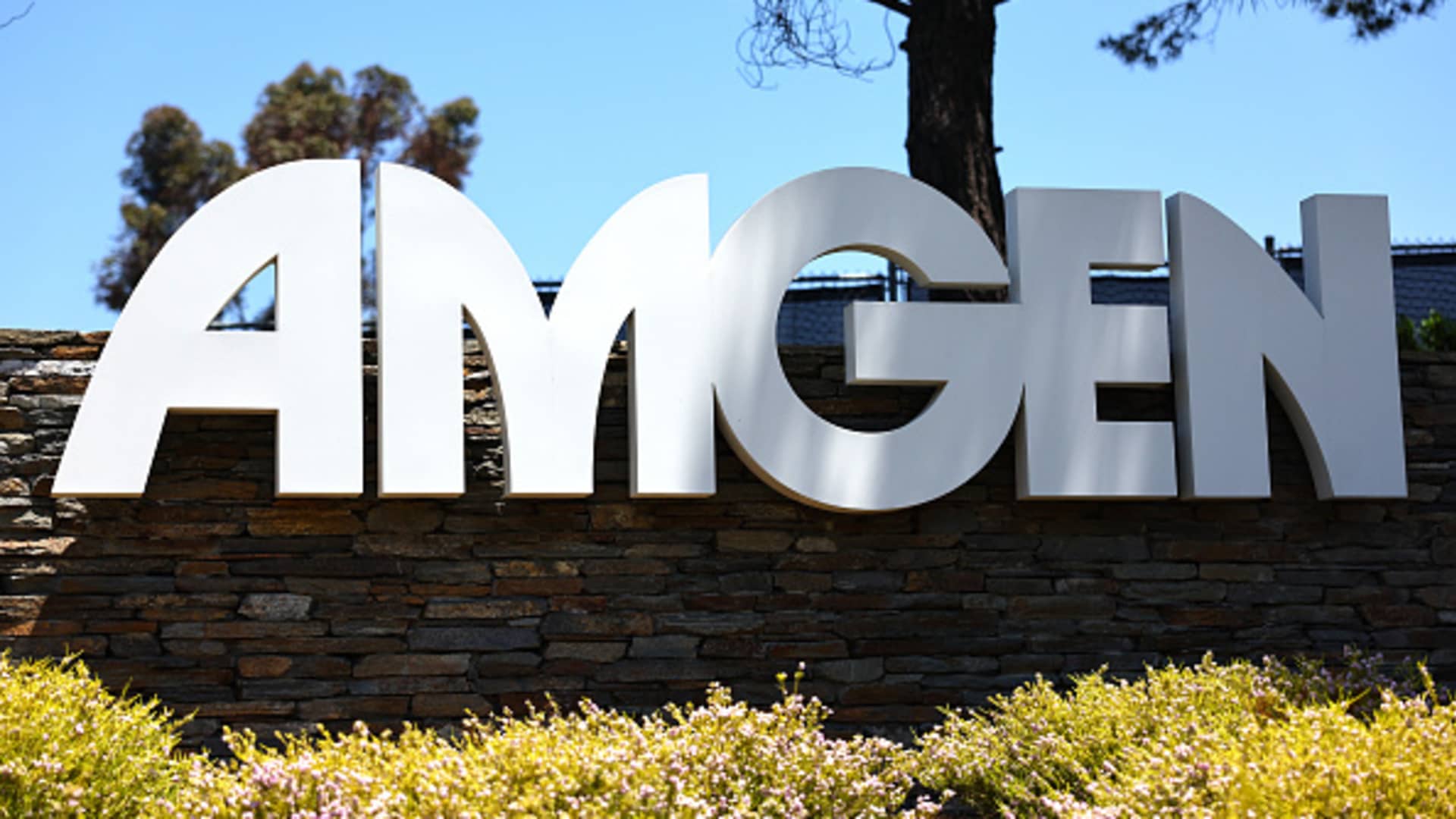 Wall Street mulls over Amgen weight loss drug data