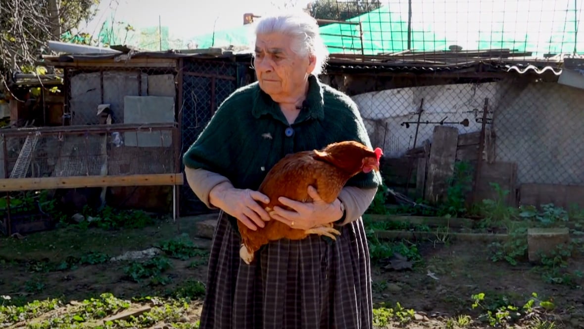 Italian town’s secret to centenarians the subject of new research