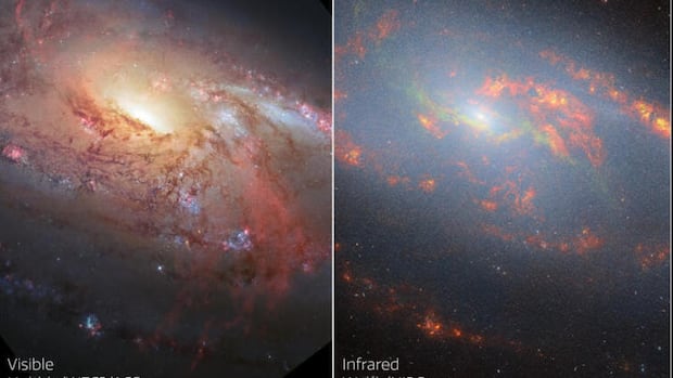 How quickly is the universe expanding? Astronomers and theorists can't agree