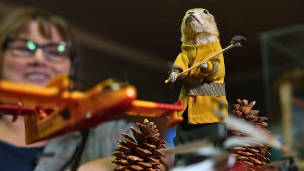 Torrington's gopher museum is entering a new era, but don't worry — there's still weird taxidermy