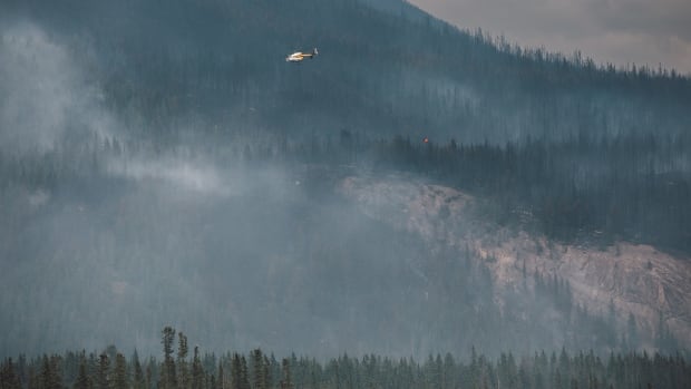 Long-term exposure to wildfire smoke associated with increased risk of dementia: study