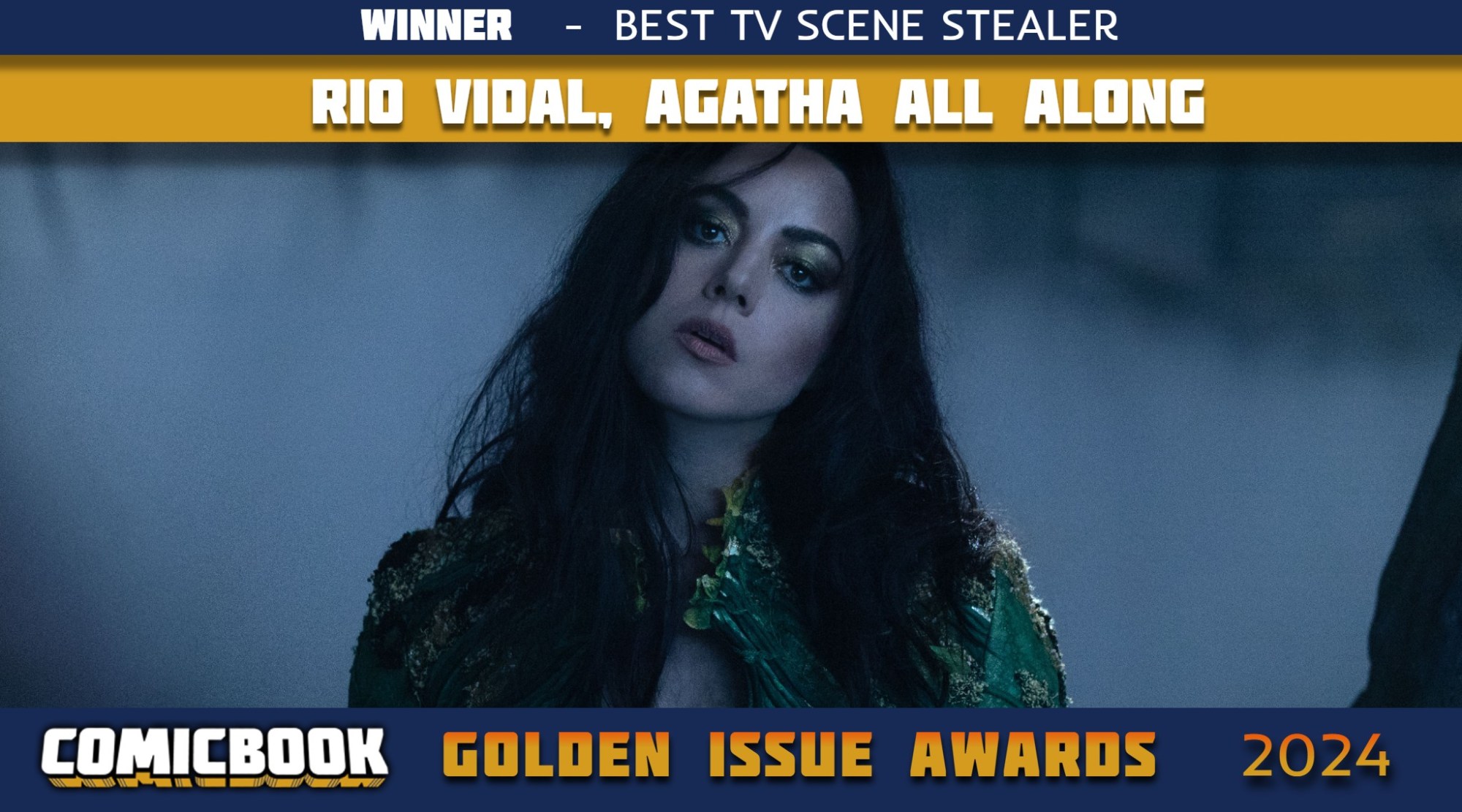 Aubrey Plaza's Rio Vidal Is the Best TV Scene Stealer of 2024 (Golden Issue Awards)