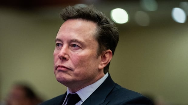 Musk vows to wage 'war' to defend visa program amid rift with fellow Trump backers