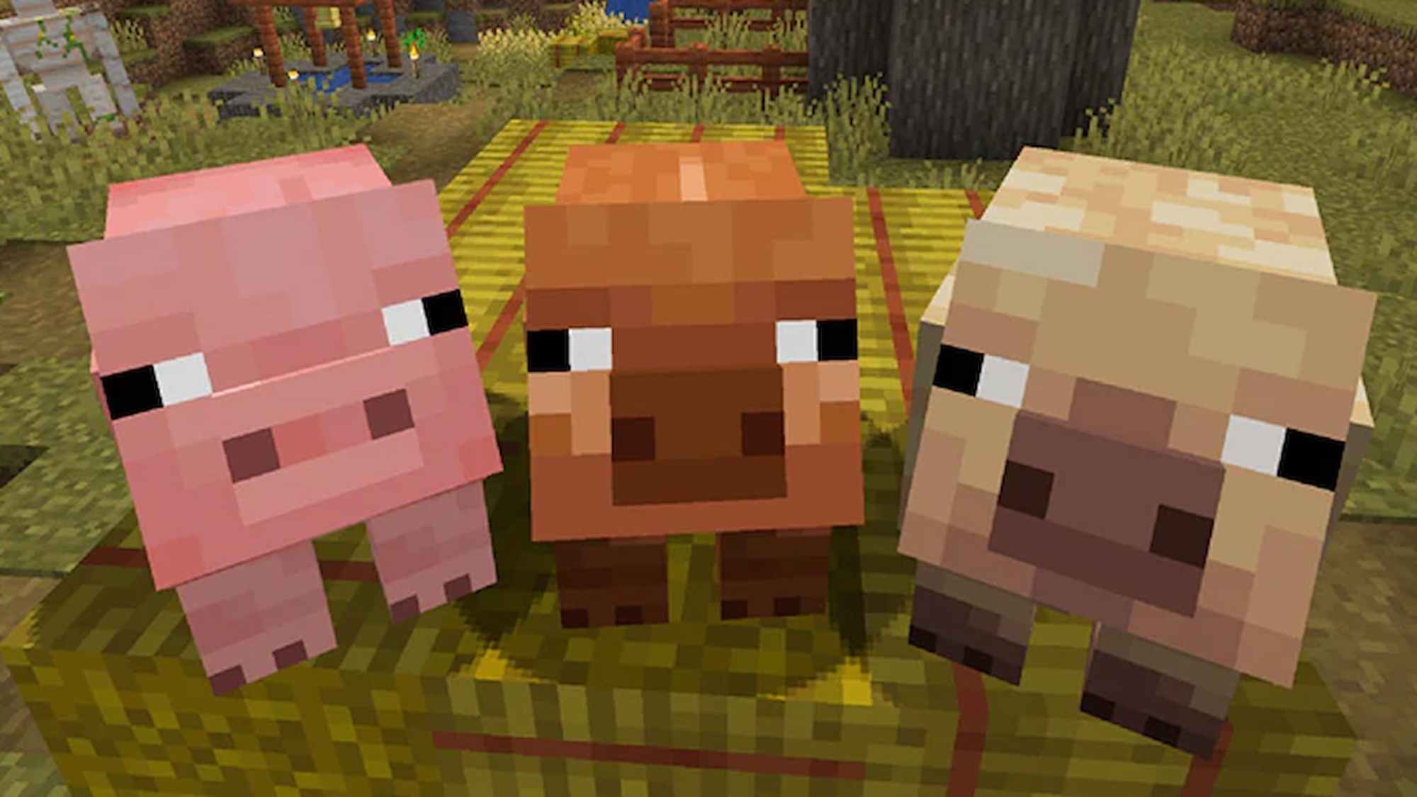 Pig, Warm Pig, and Cold Pig in Minecraft