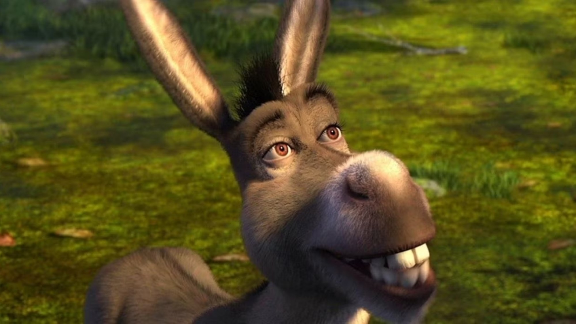 Perry, The Original Donkey That Inspired Shrek, Has Died